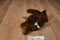 Ganz Murdoch Brown Bear Beanbag Plush
