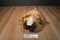 Point East Ltd. Snuffles Boxer Beanbag Plush