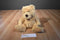 Ty Classic Boris Tan Teddy Bear 2015 Beanbag Plush
