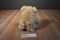 Ty Classic Boris Tan Teddy Bear 2015 Beanbag Plush