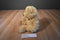 Ty Classic Boris Tan Teddy Bear 2015 Beanbag Plush
