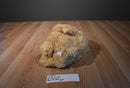 Ty Classic Boris Tan Teddy Bear 2015 Beanbag Plush