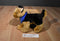 Douglas Rhea German Shepherd Dog K-9 Foundation Plush and Book