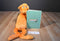 Kohl's Cares Dr. Seuss The Foot Book Orange Critter 2005 Plush and Book