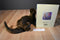 Wild Republic River Otter 2018 Plush and "Otter Play" Hardcover Book