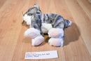 IKEA Grey Tabby Kitten Lilleplutt Plush and "Mittens" Hard Cover Book