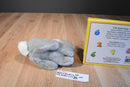 Applause Gray Bunny Rabbit Plush and Gray Rabbit's 1,2,3 Counting Hardcover Book