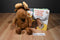 Kohl's Cares If You Give A Moose A Muffin 2015 Plush and Hardcover Book