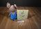 Kohl's If You Give A Mouse A Cookie 2015 Plush and Softcover Book
