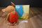 Kohl's If You Take a Mouse To School Plush and Softcover Book