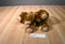 Kohl's Eric Carle Brown Bear 2008 Plush and Hardcover Book
