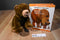 Kohl's Eric Carle Brown Bear 2008 Plush and Hardcover Book