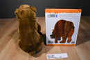 Kohl's Eric Carle Brown Bear 2008 Plush and Hardcover Book
