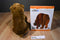 Kohl's Eric Carle Brown Bear 2008 Plush and Hardcover Book