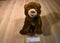 Kohl's Eric Carle Brown Bear 2008 Plush and Hardcover Book
