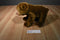 Kohl's Eric Carle Brown Bear 2008 Plush and Hardcover Book