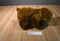 Kohl's Eric Carle Brown Bear 2008 Plush and Hardcover Book