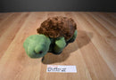 Kohl's The Foolish Tortoise 2011 Plush and Hardcover Book