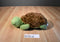 Kohl's The Foolish Tortoise 2011 Plush and Hardcover Book