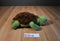 Kohl's The Foolish Tortoise 2011 Plush and Hardcover Book