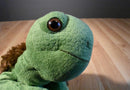 Kohl's The Foolish Tortoise 2011 Plush and Hardcover Book