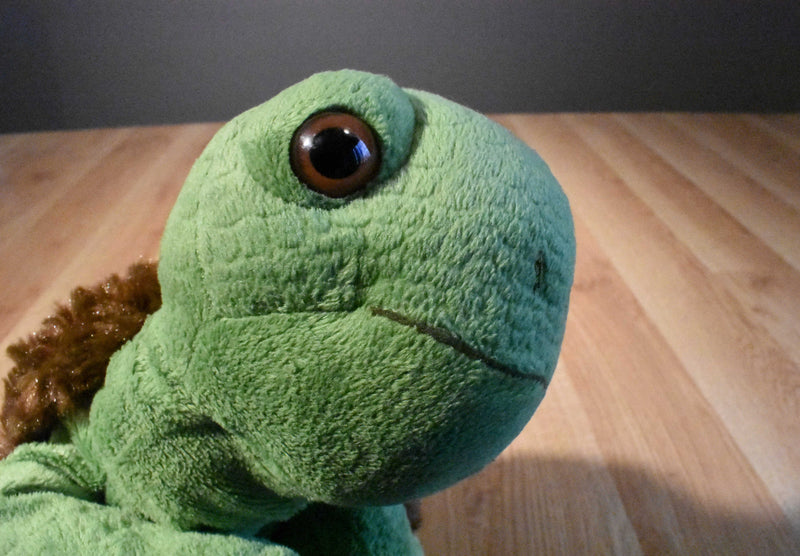 Kohl's The Foolish Tortoise 2011 Plush and Hardcover Book