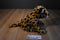 Kohl's Cheetah Plush and "Biggest, Strongest, Fastest" Hardcover Book