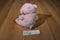 Ty Pluffies Amore Pink Bear 2012 Beanbag Plush