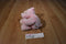 Ty Pluffies Amore Pink Bear 2012 Beanbag Plush