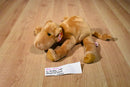 Ty Beanie Buddies Humphrey Camel 1998 Beanbag Plush