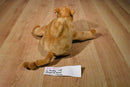 Ty Beanie Buddies Humphrey Camel 1998 Beanbag Plush