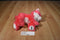 Pink and White Cat Plush From Jamaica with Blue Eyes