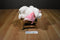 Gund Baby Lena the White Lamb plush with a Pink Blanket