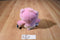 Those Characters From Cleveland Love-a-Lot Care Bear 2002 plush