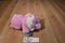 Those Characters From Cleveland Love-a-Lot Care Bear 2002 plush