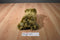 LAMO Look At Me Only Brown Grizzly Bear 2007 Beanbag Plush