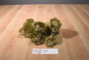 LAMO Look At Me Only Brown Grizzly Bear 2007 Beanbag Plush