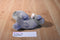 Ty Beanie Babies Wiggy the Gray Walrus 2016 Beanbag Plush