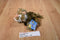 Ganz Webkinz Lil Kinz Tiger HS032 Beanbag Plush With Sealed Code