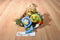 Walt Disney World A Bug's Life Heimlich and P.T. Flea Beanbag Plush