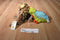 Walt Disney World A Bug's Life Heimlich and P.T. Flea Beanbag Plush
