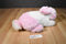 Animal Adventure White and Pink Bunny Rabbit 2012 Plush