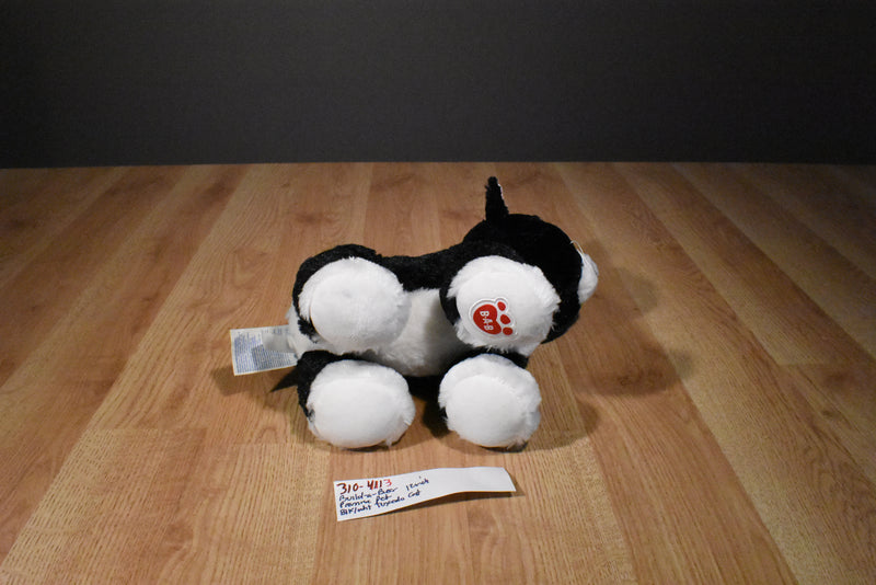 Build-a-Bear Promise Pet Black and White Tuxedo Cat 2017 Plush