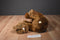 Aurora Grizzly Bear and Circo Grizzly Bear Cub Plush