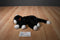 Ty Classic Boots Black and White Cat 1997 Beanbag Plush