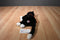 Ty Classic Boots Black and White Cat 1997 Beanbag Plush
