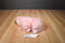 Ty Classic Jeweled Pink Cat 2007 Beanbag Plush