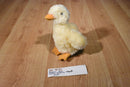 Aurora Flopsies Yellow Duckling Duck 2016 Beanbag Plush and Hardcover Book