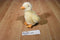 Aurora Flopsies Yellow Duckling Duck 2016 Beanbag Plush and Hardcover Book