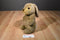 24k Company Beau the Brown Bunny Rabbit Plush with Pink Eyes